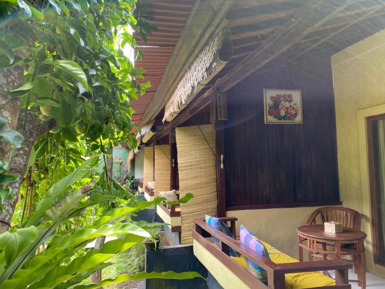 Pomelo Wisma tamu